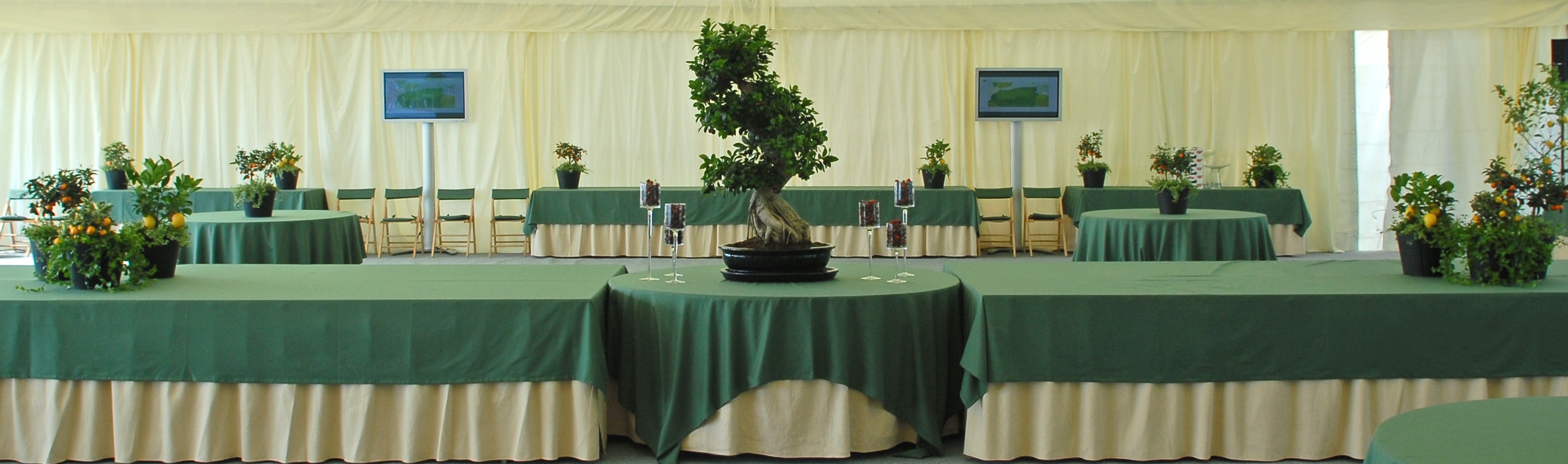 eventos graca spatley